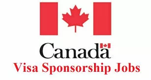 Top Industries in Canada Offering Employer Sponsored Visas